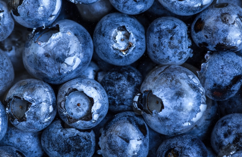 Medical Mythbuster: A Few Moldy Berries Will Ruin the Whole Carton…