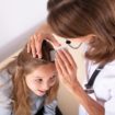 Lice Can Be a “Super Big” Problem this Time of Year