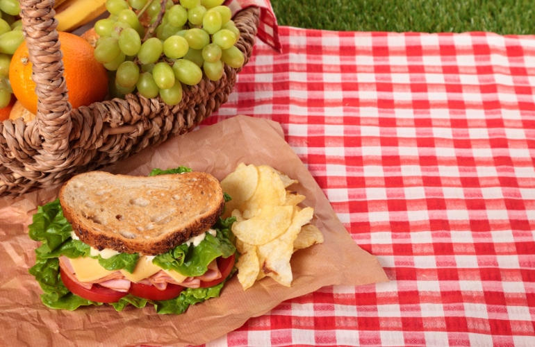 Medical Mythbuster:  My picnic food will be safe as long as I keep it in the shade