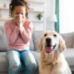 Pet Allergens: What You Need to Know