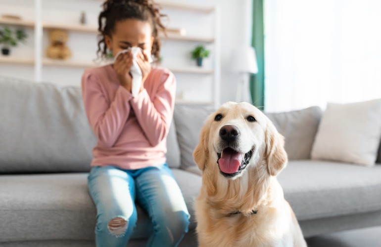 Pet Allergens: What You Need to Know